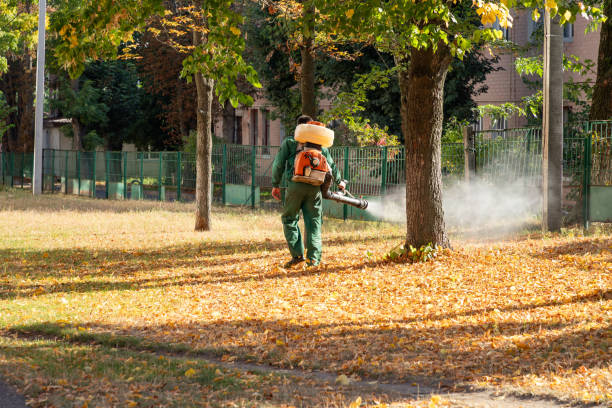 Wasp Removal Services in Mckees Rocks, PA