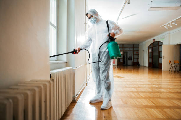 Best Commercial Pest Control Services  in Mckees Rocks, PA